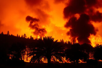 Los Angeles környékén ismét erdőtűz pusztít: A természet haragja